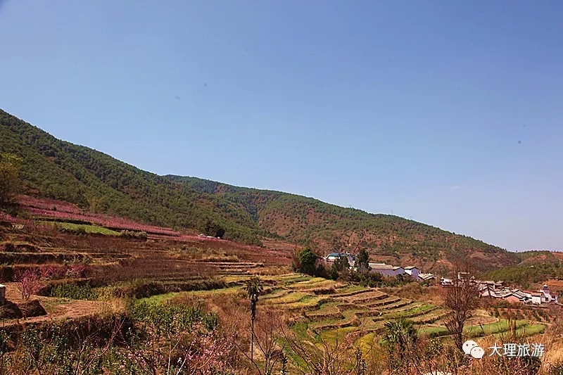 层层叠叠的梯田