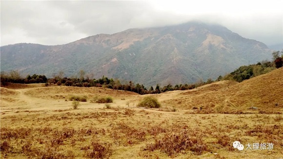 马鹿塘的广漠山坡