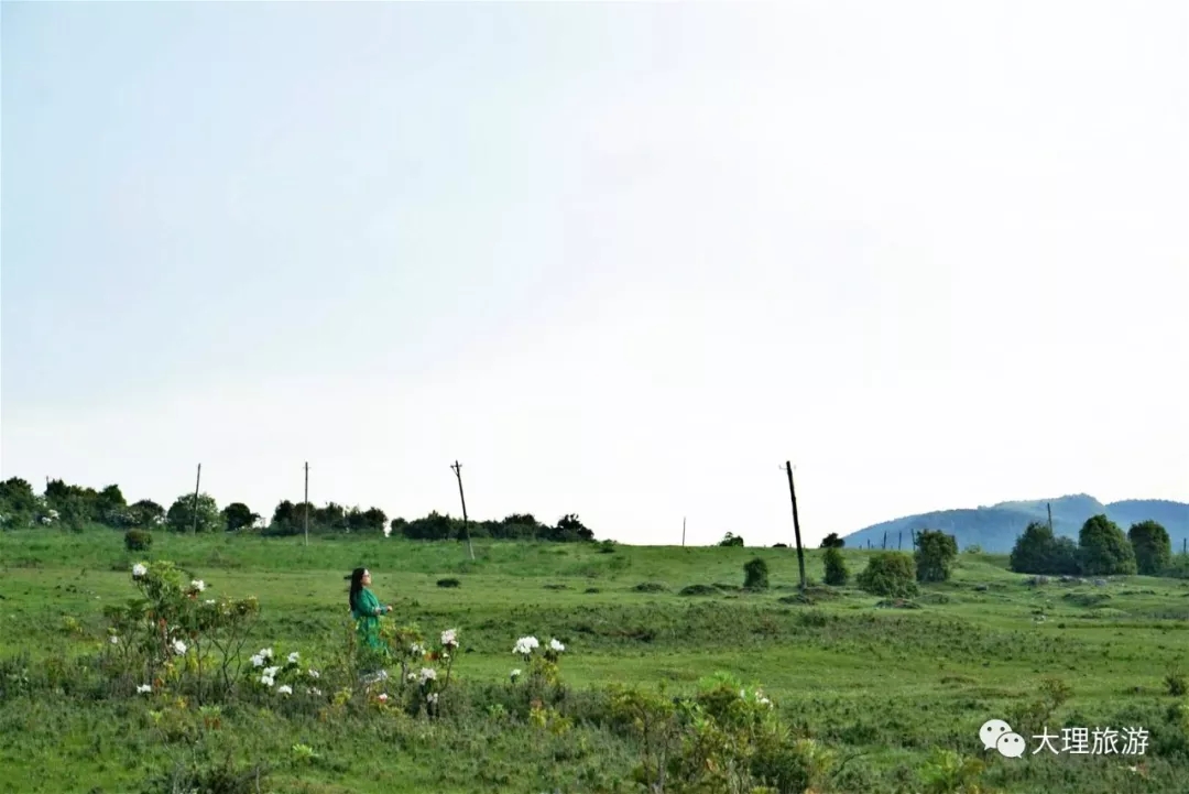 看太阳缓缓升起