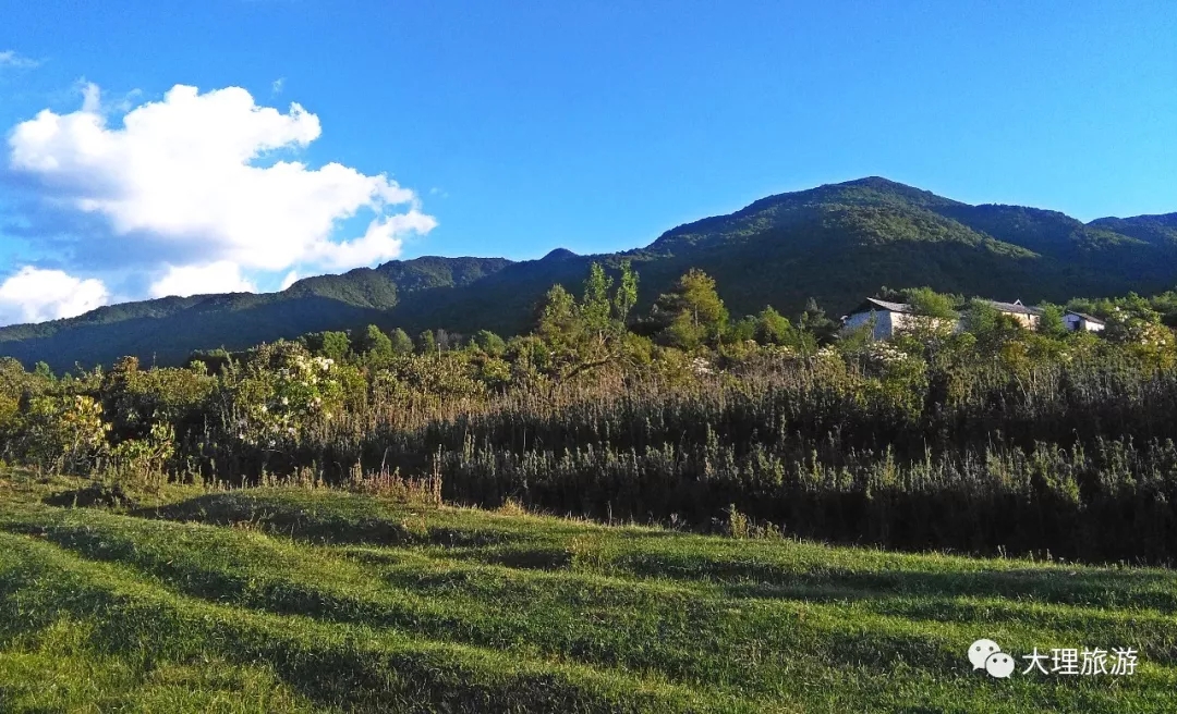 白云生处有人家