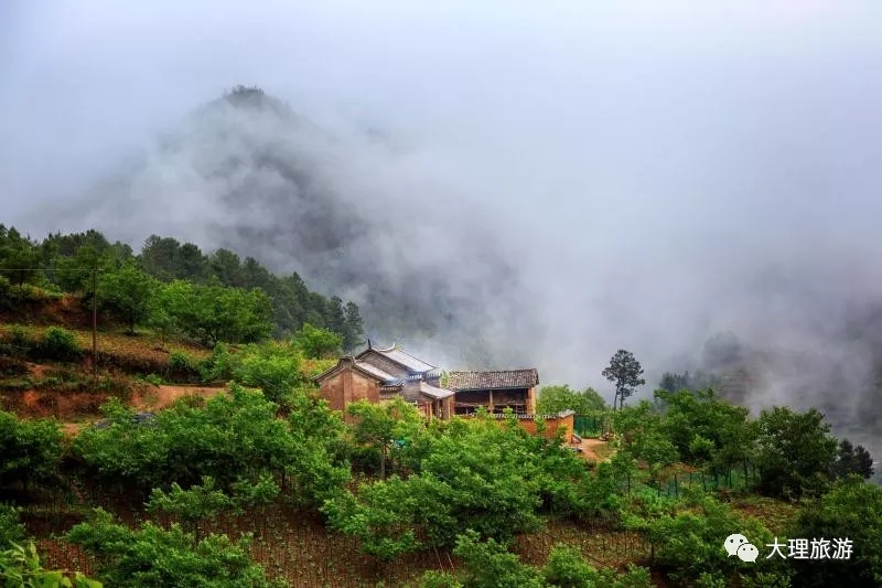 山里雾里的人家