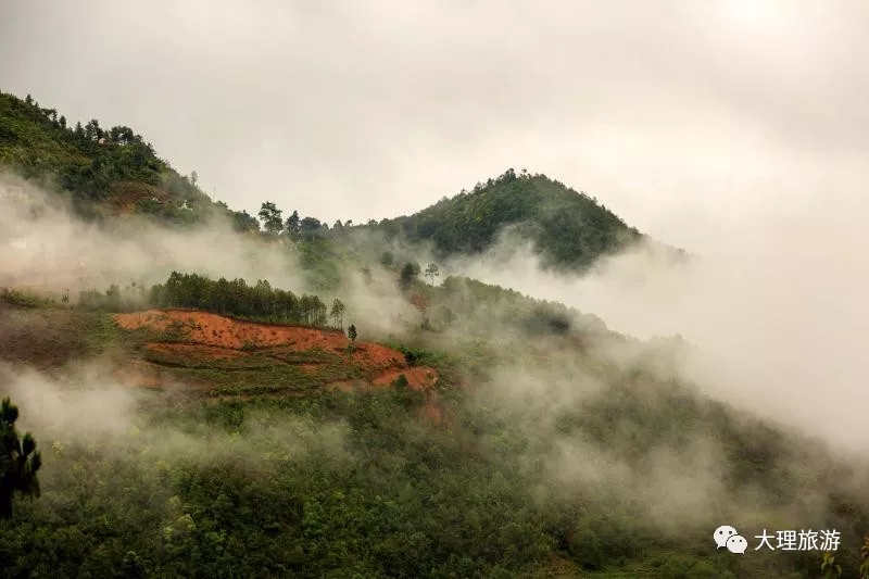 云海微茫露晴岫