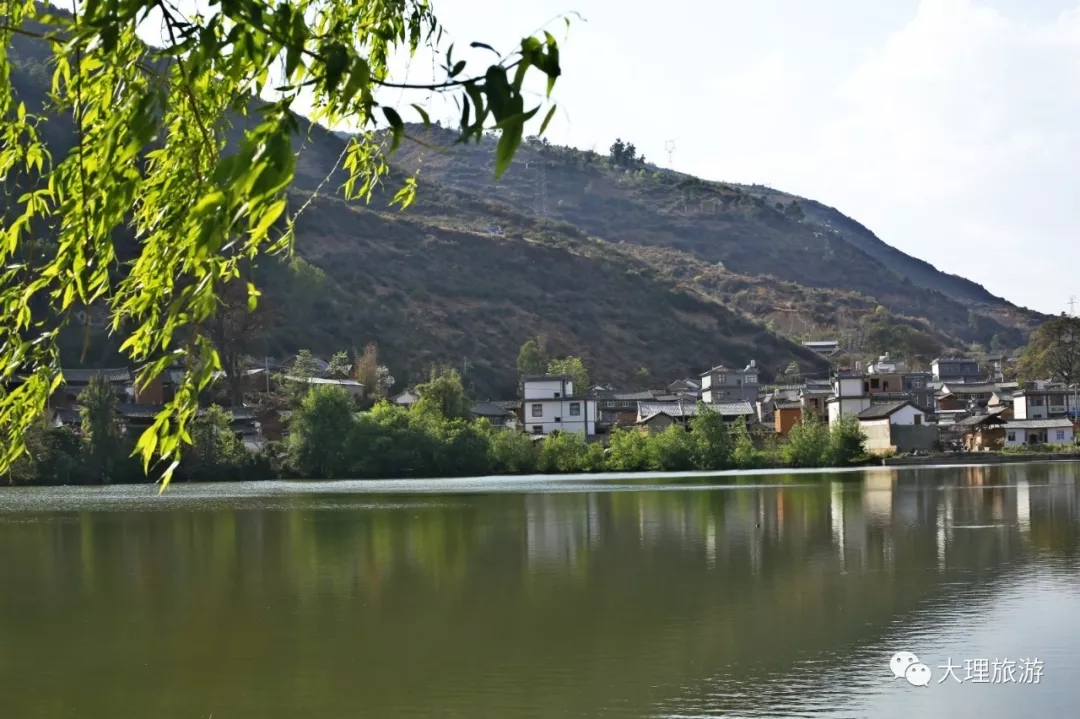 金花家巷子门口的小湖