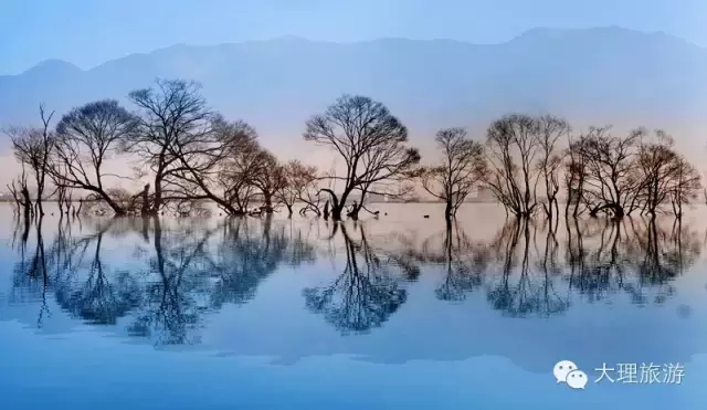 冬到黄龙潭 奚锡钧 摄