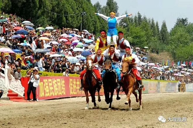 三月街赛马现场 王观远 摄