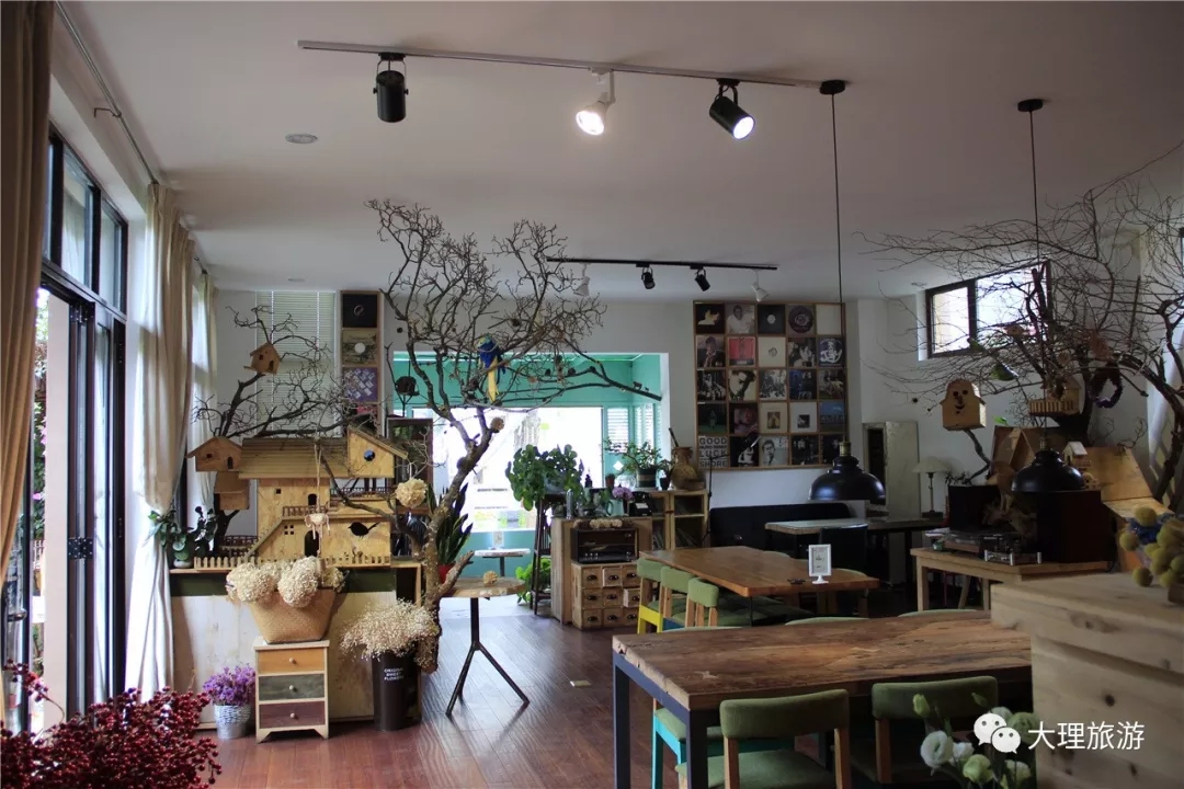 树屋咖啡馆真的有树